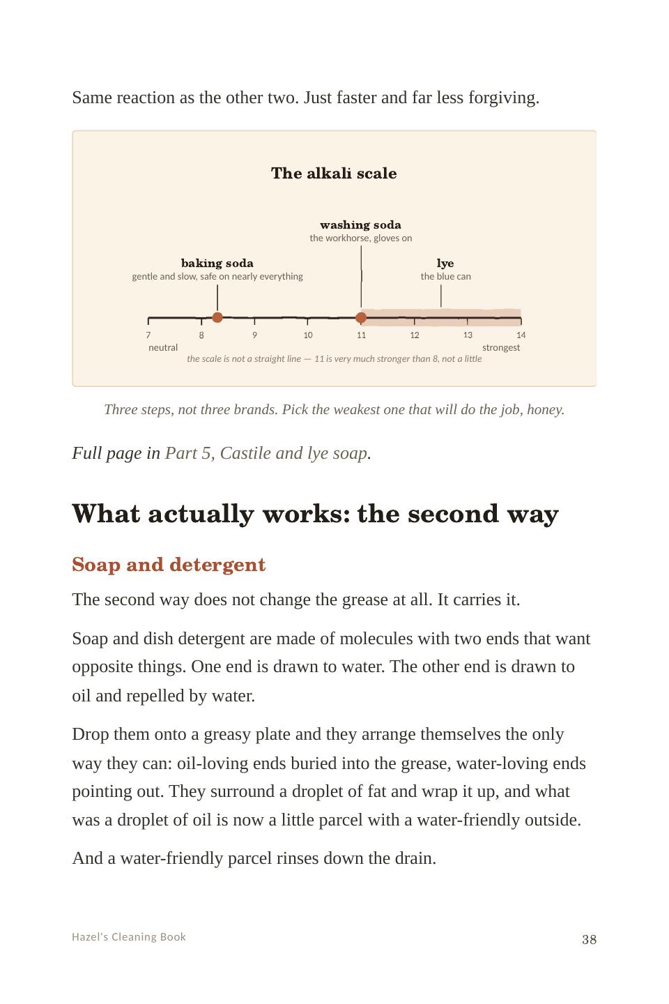 Page 38: baking soda, washing soda, and lye — and why they are not interchangeable.